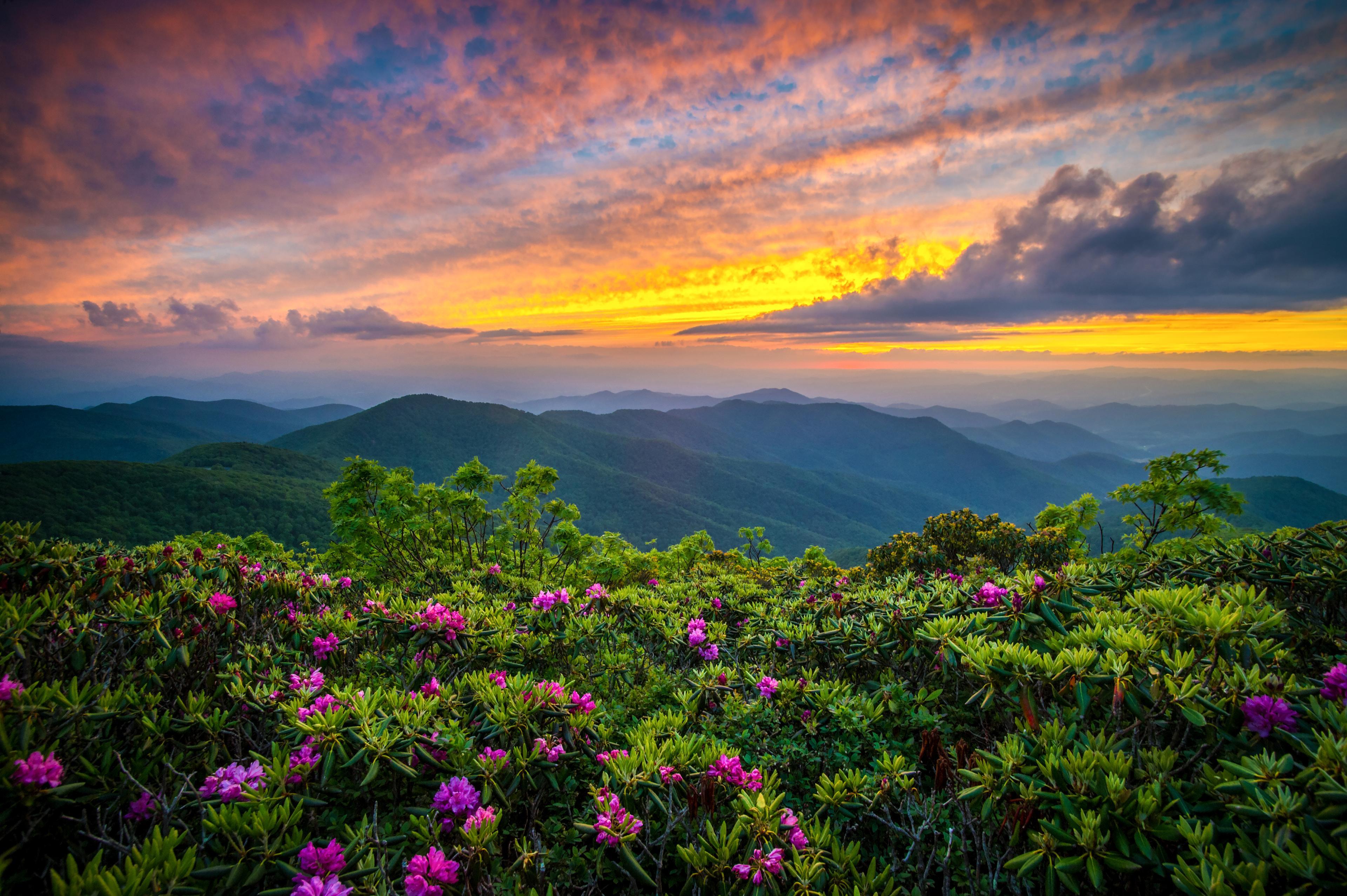 The sun rises over blue peaks and a vast green forest