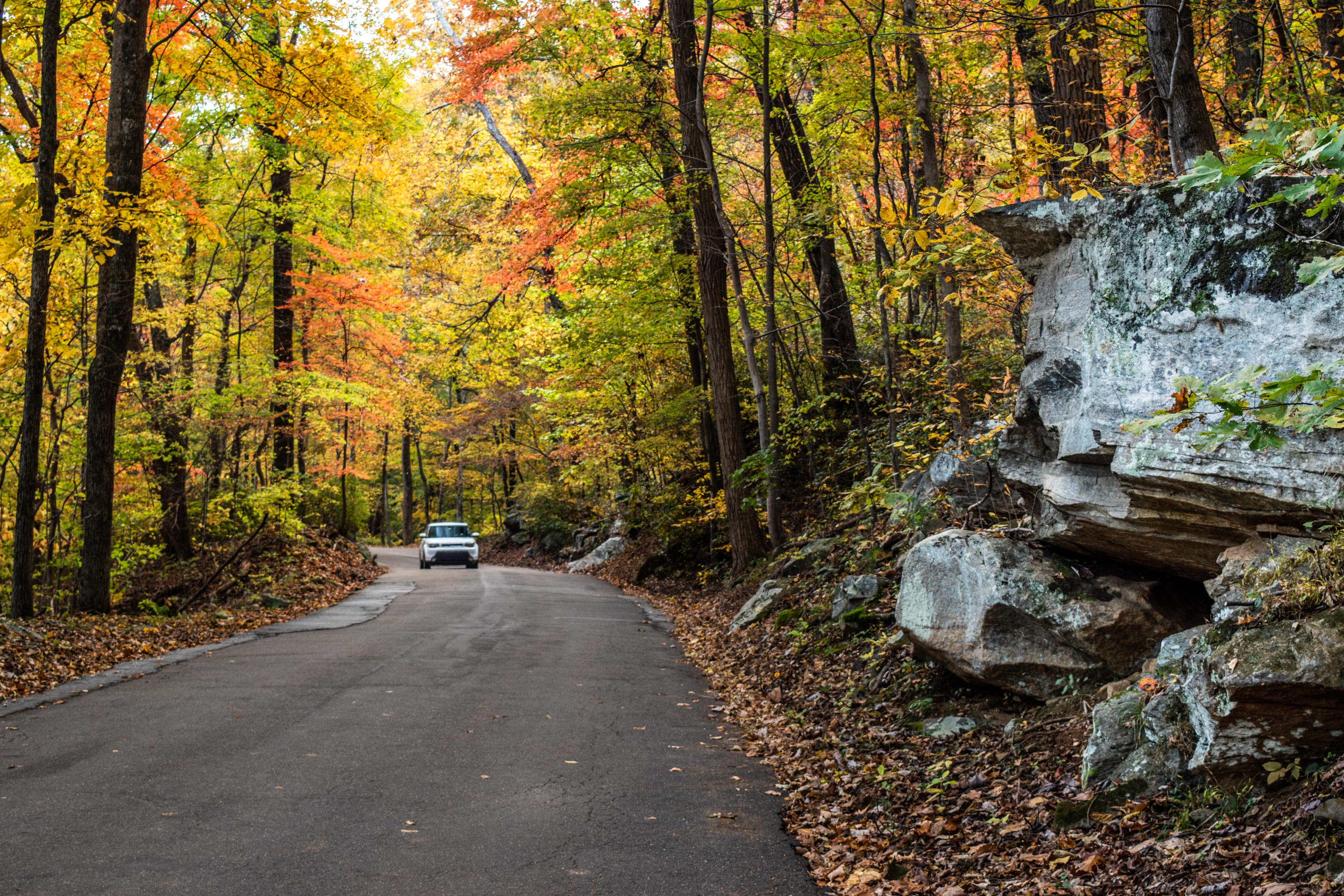 Fall Scenic Drives: Late Season Color Asheville NC