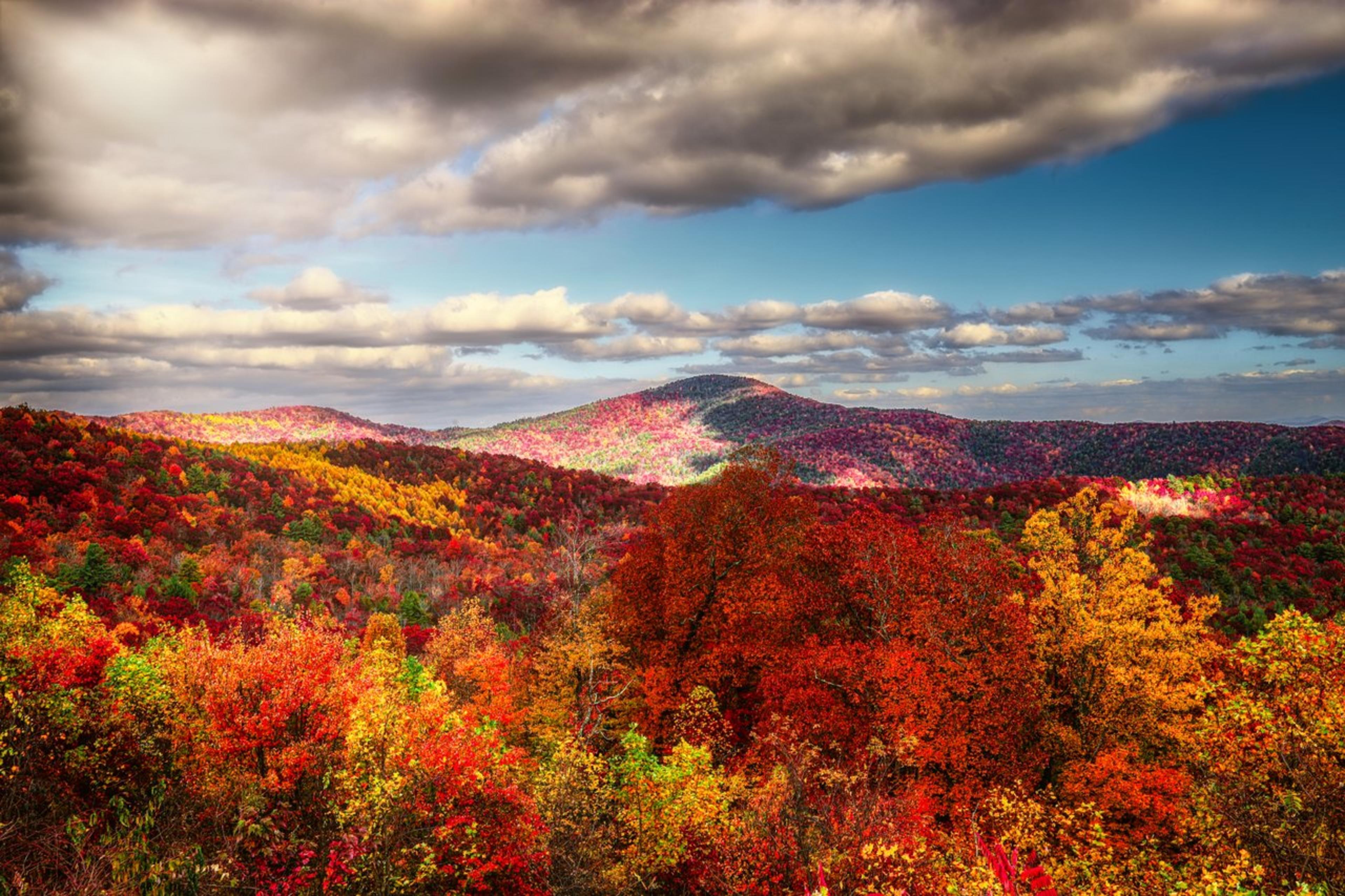 Fall in Asheville NC: Color Forecast 2023