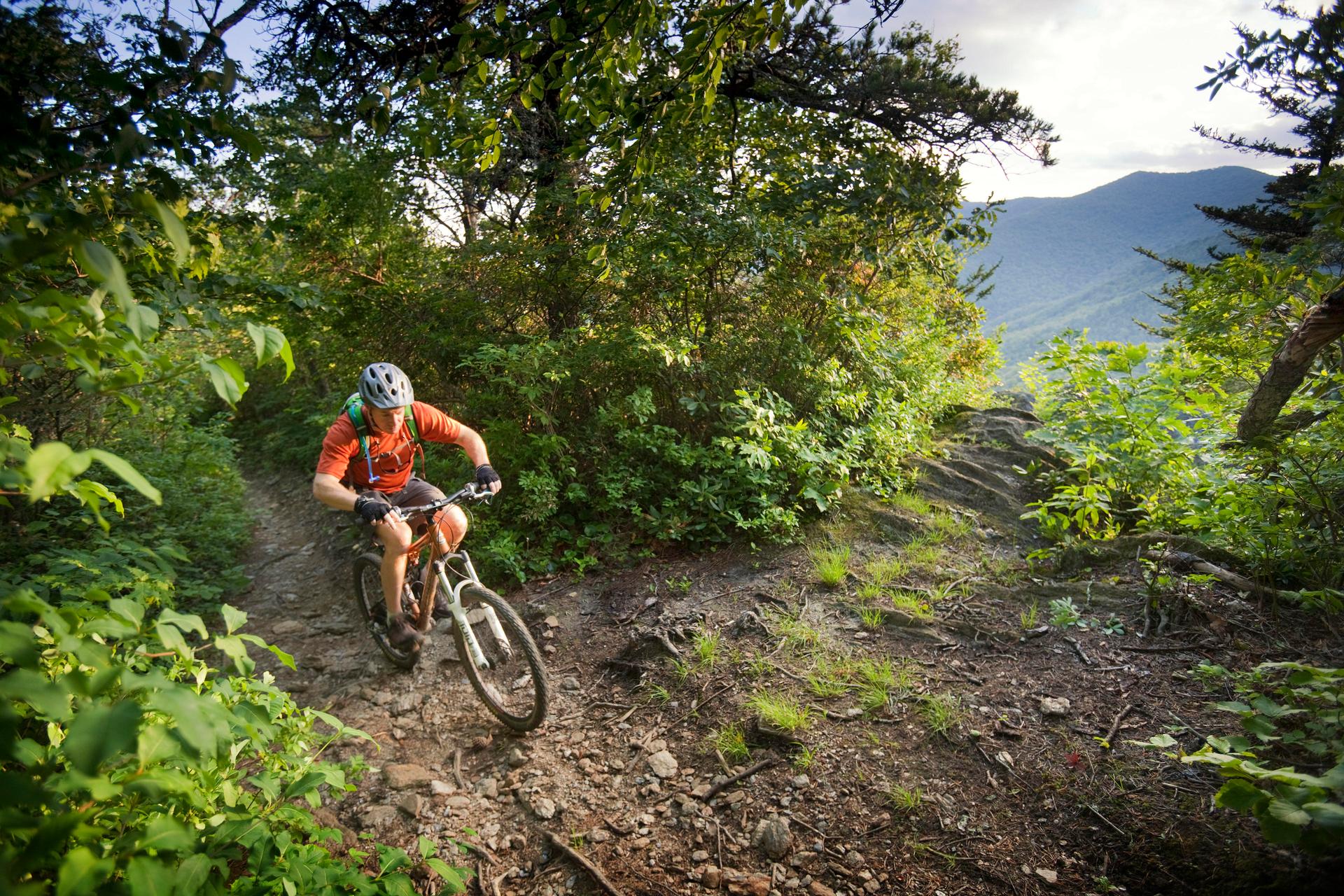 Mountain biker on trail in Asheville, NC