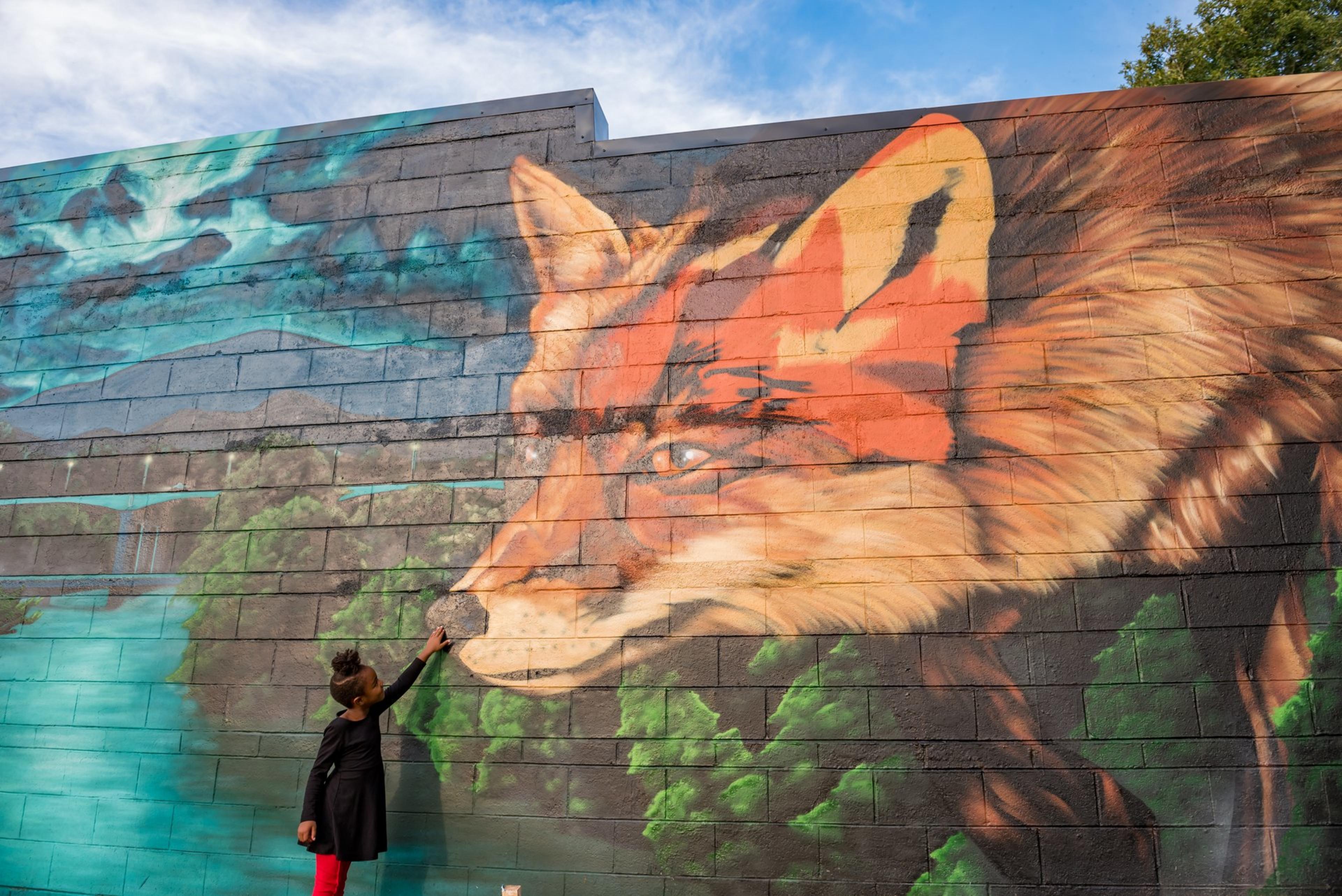 Part of the Art: Explore Peak Color in Asheville NC Art and Nature