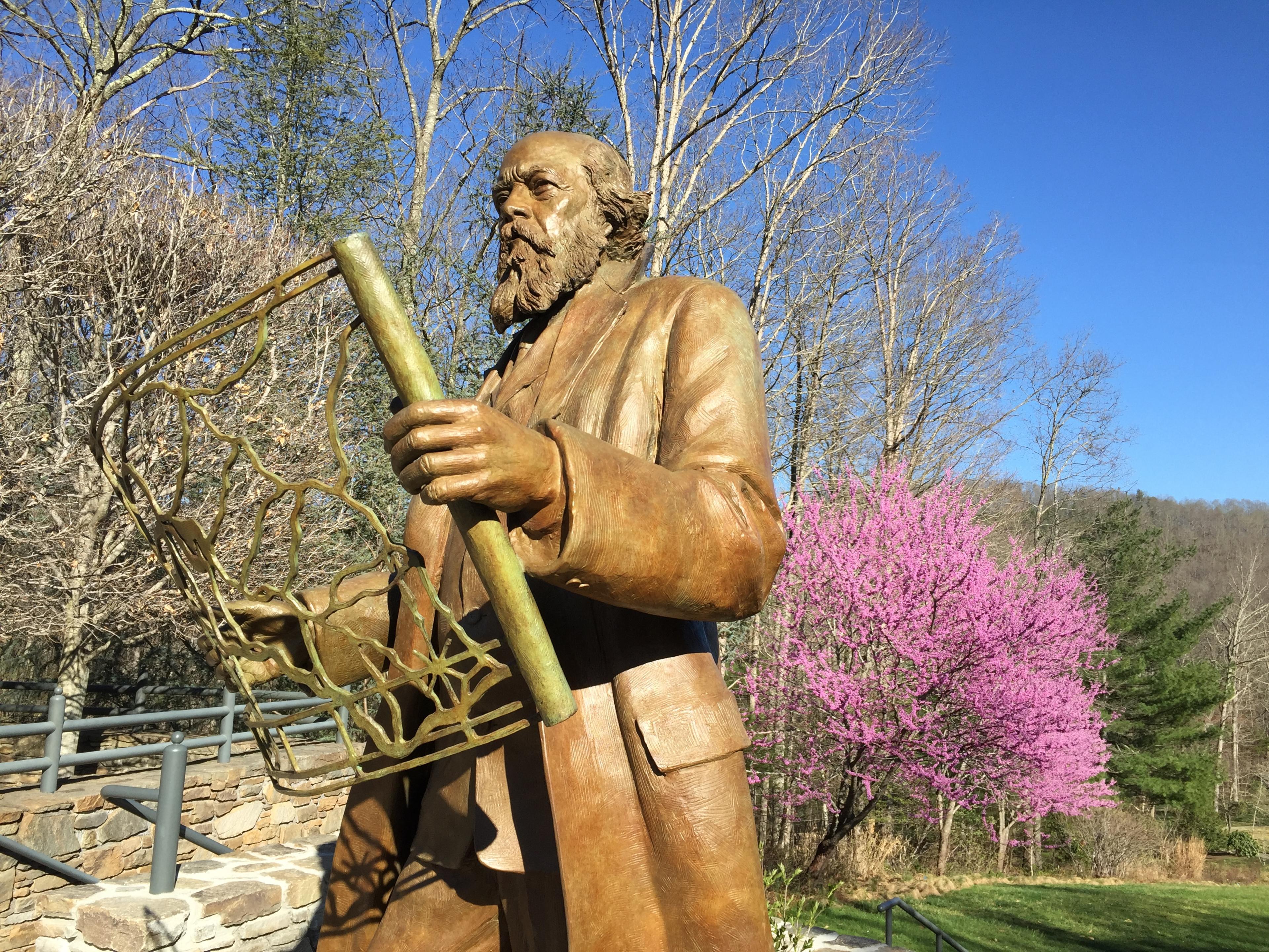 A bronze statue of Frederick Law Olmstead in Asheville