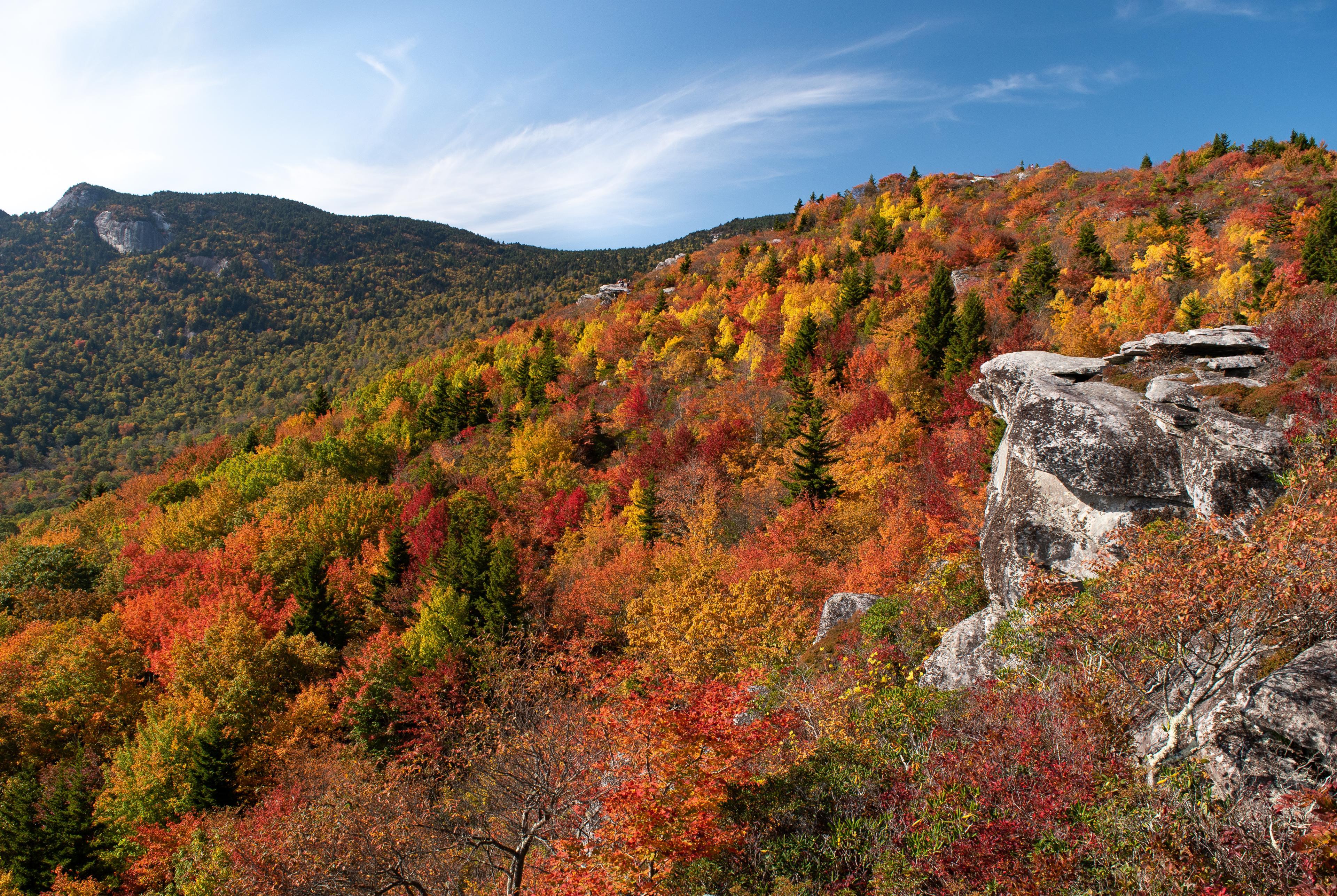 Top 10 Eco-Friendly Ways to Experience Fall in Asheville