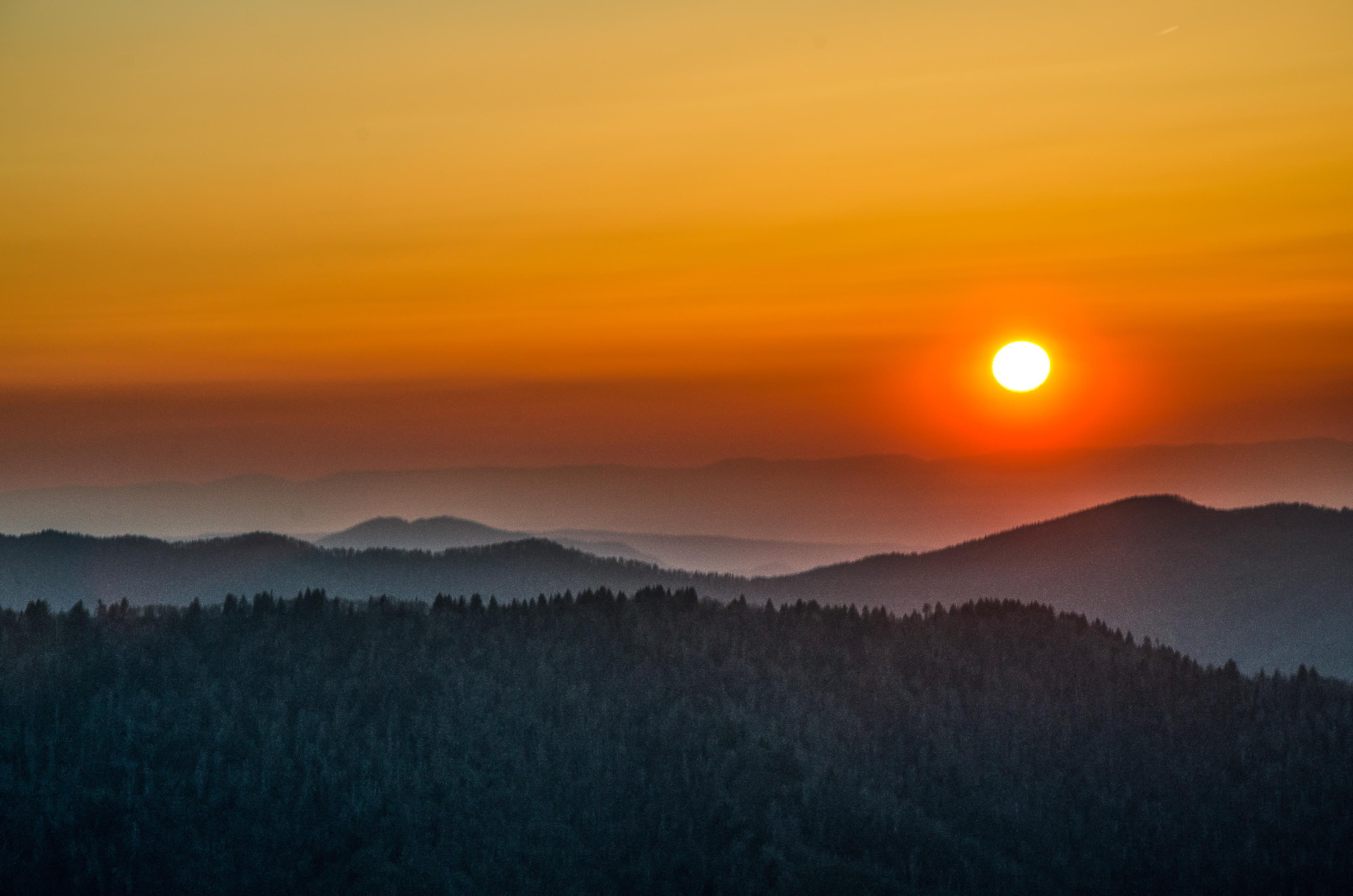 Day Trip: Exploring the Great Smoky Mountains National Park