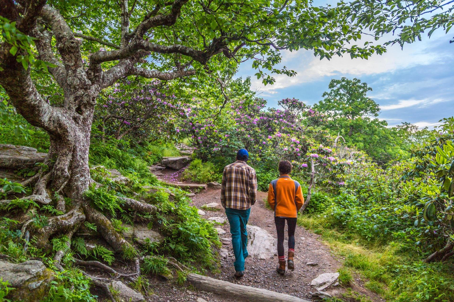 Hiking at Craggy Pinnacle by Jared Kay