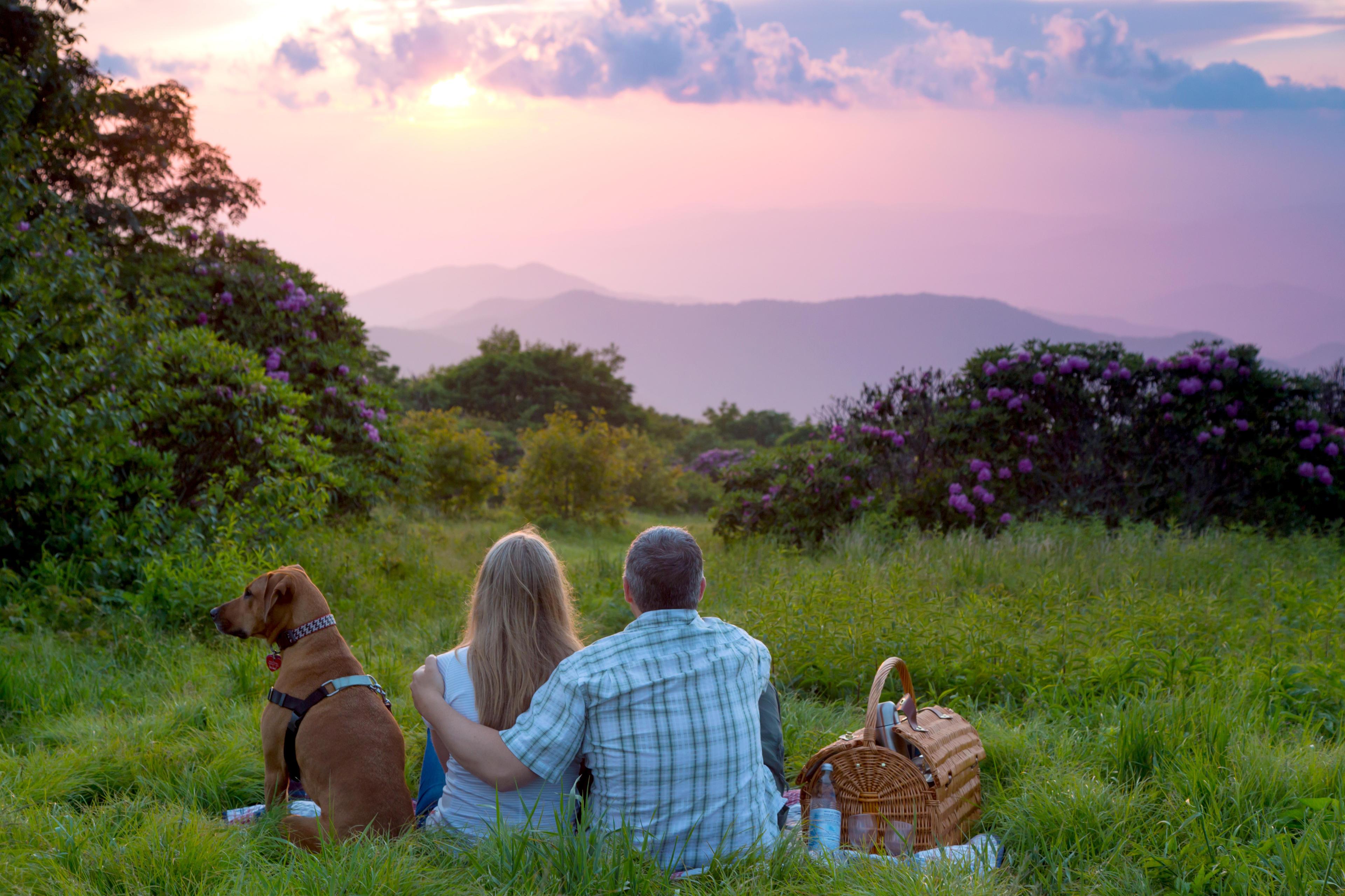 Two people and a dog sit on a picnic blanket overlooking a beautiful mountain sunset near Asheville