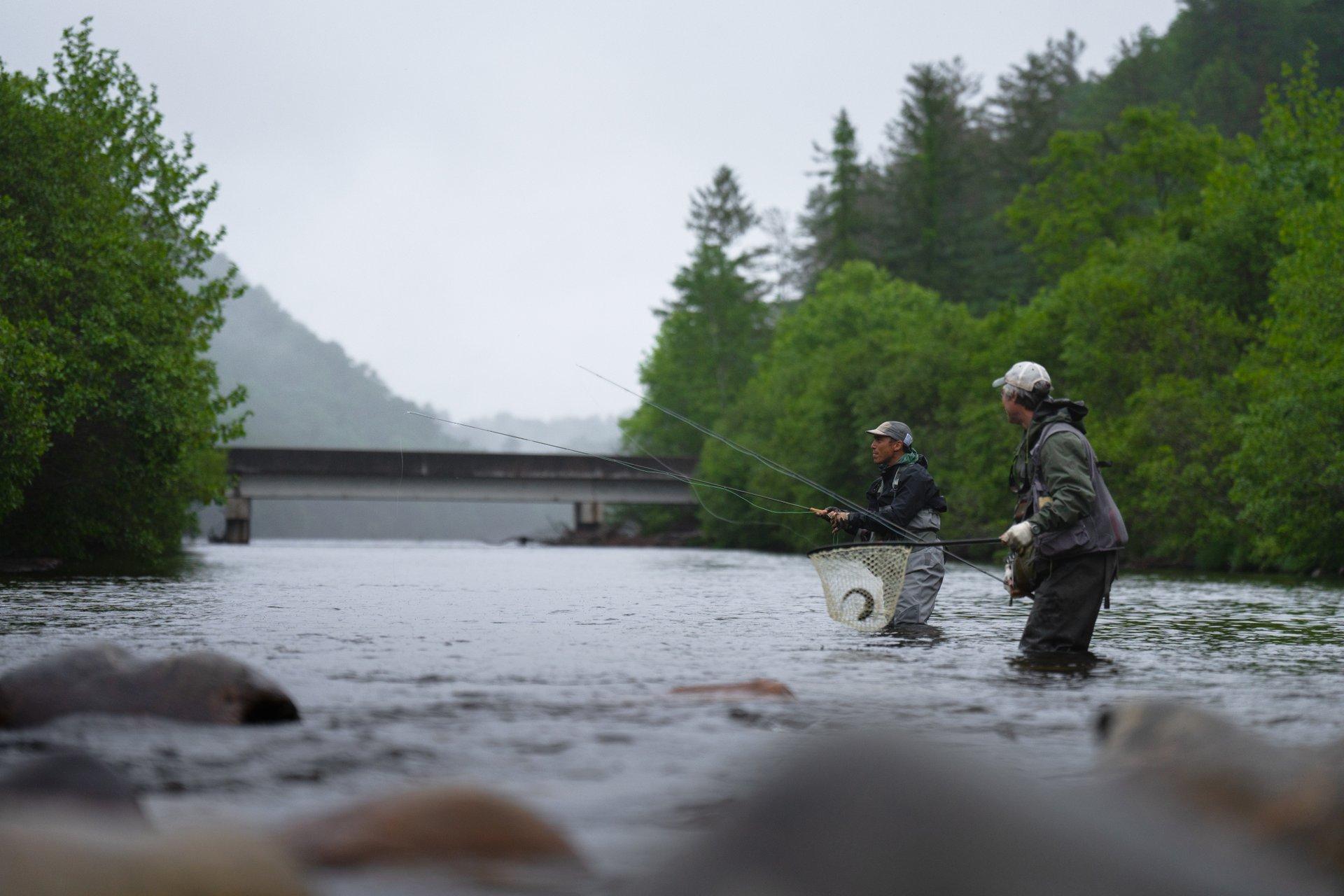 Fishing in 