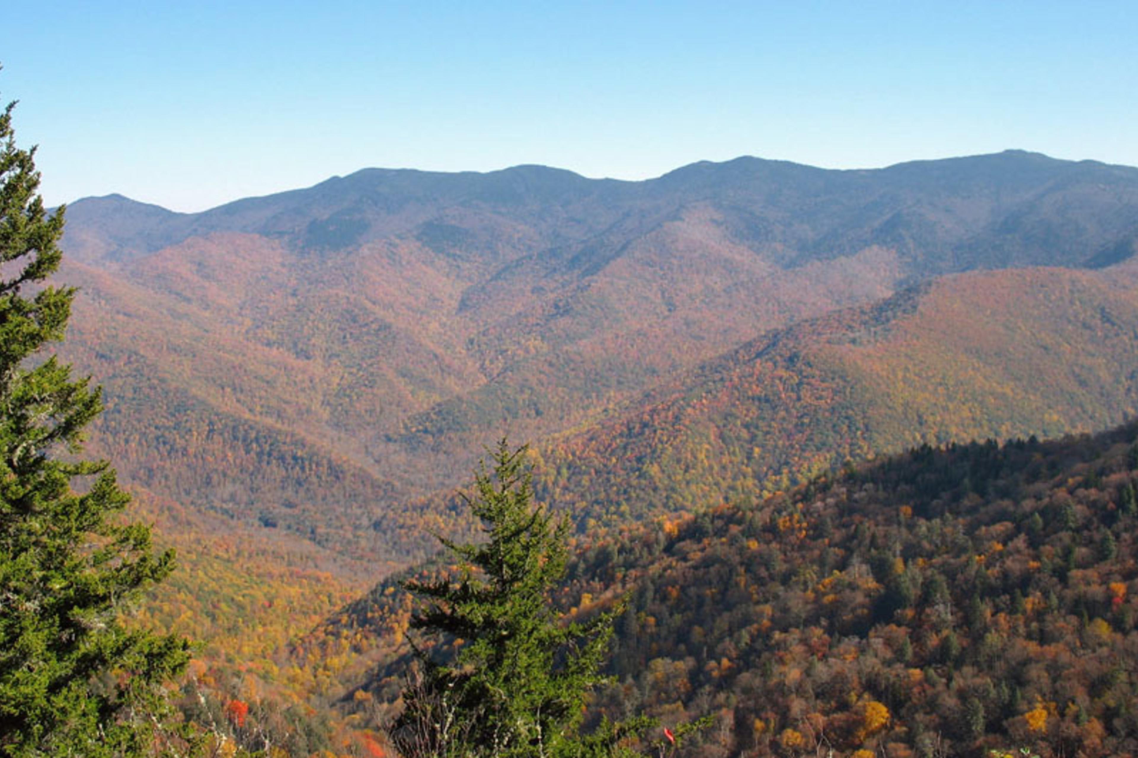 Big Butt Trail Asheville