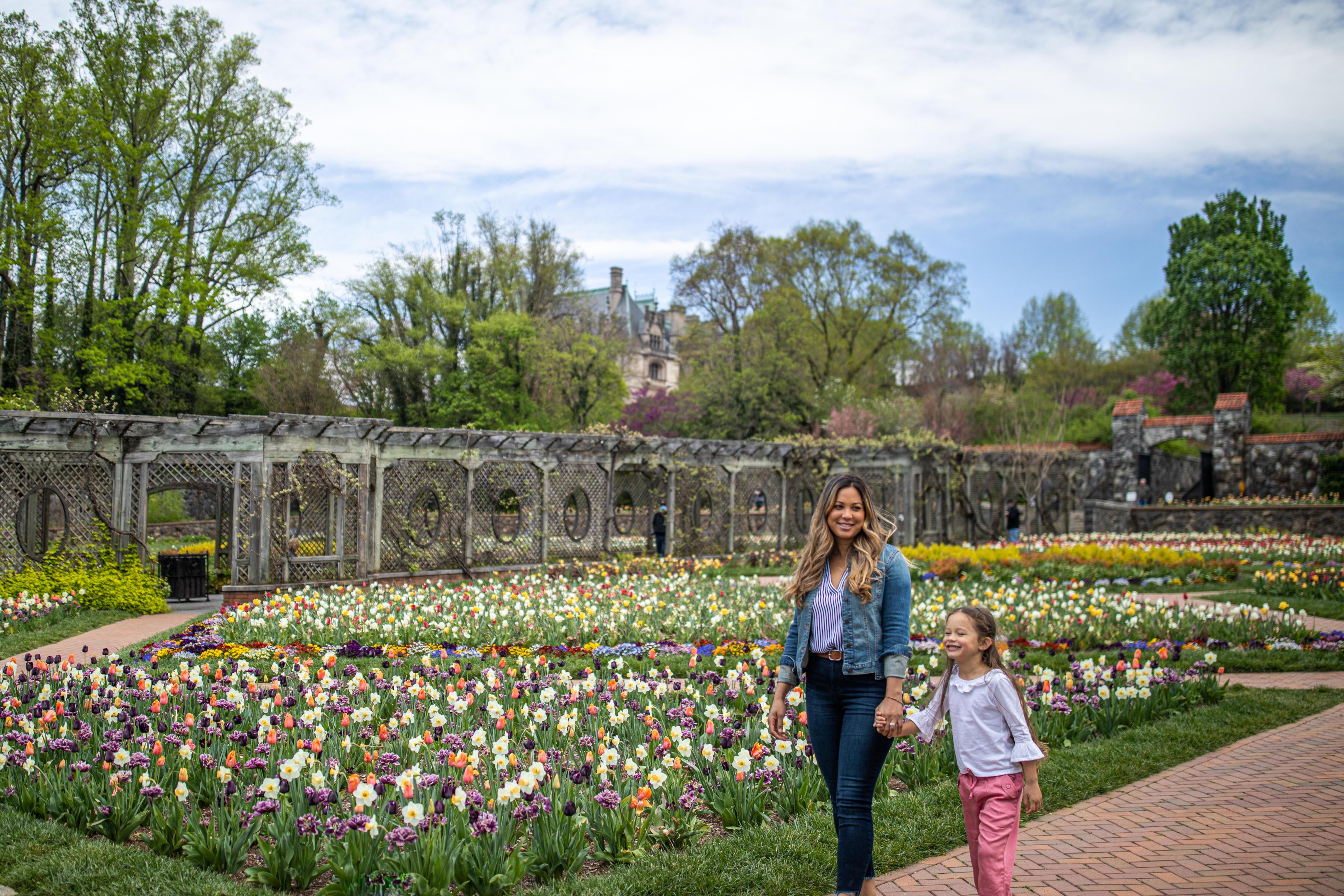 The Ultimate Guide to Biltmore Blooms in Asheville NC