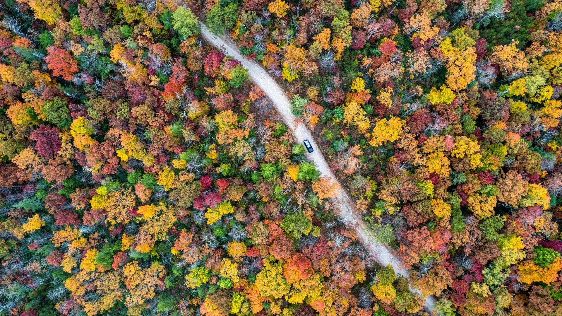 Aerial photo of a dirt road surrounded by fall color