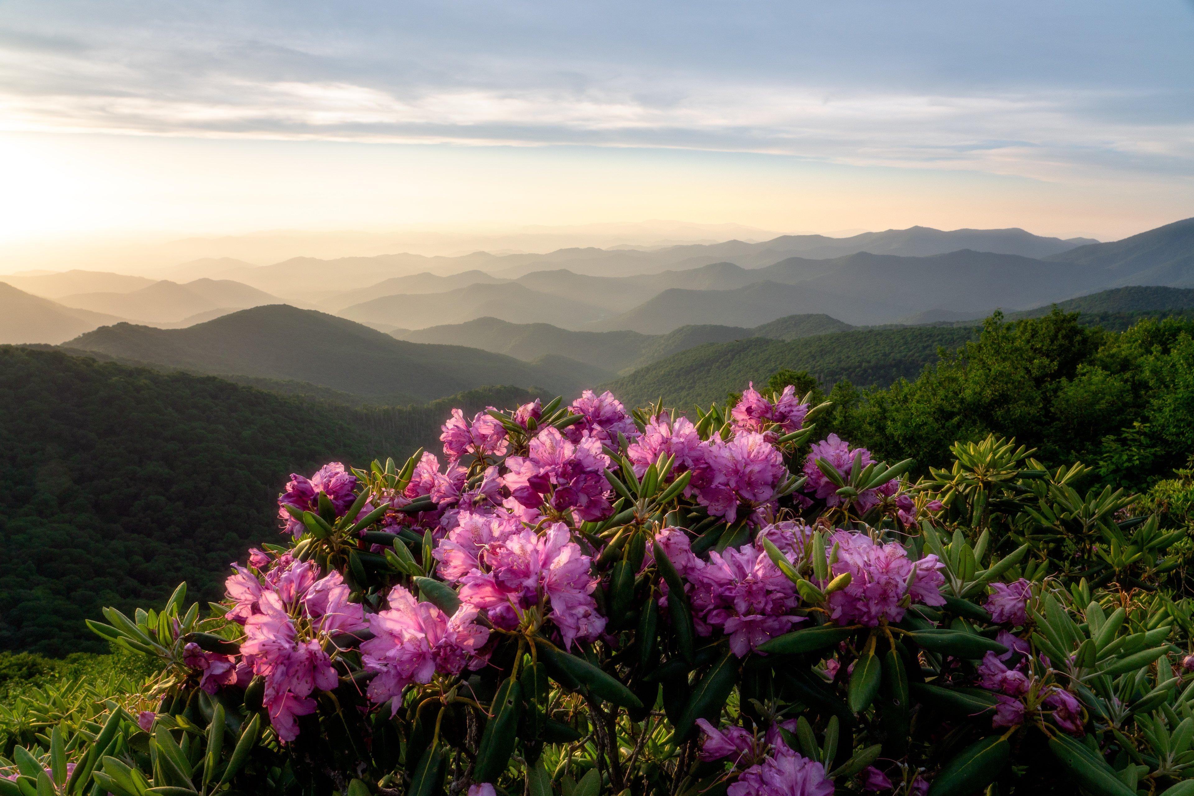 Craggy Pinnacle / Photo: J Smilanic