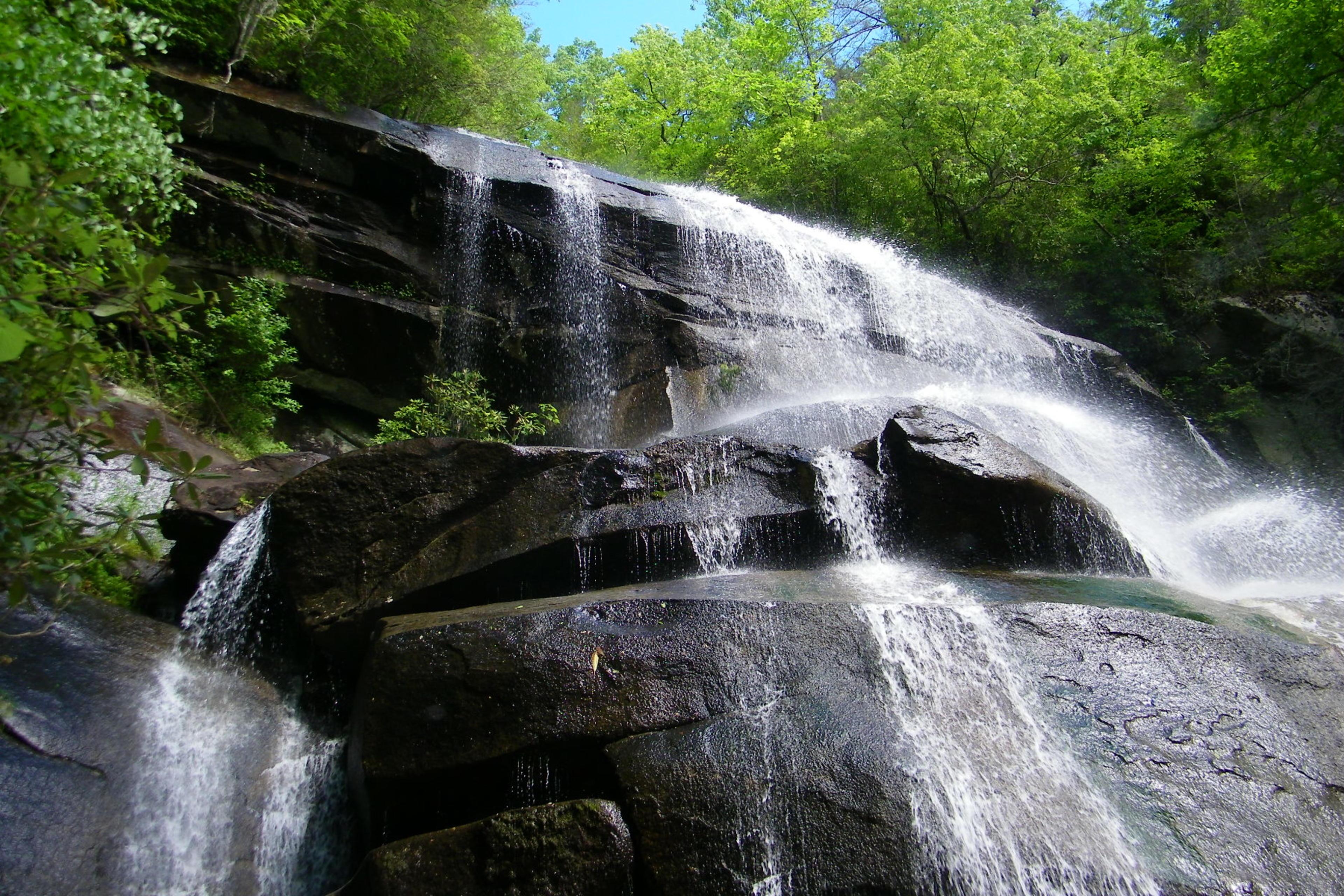 Daniel Ridge Loop Trail waterfall Asheville NC