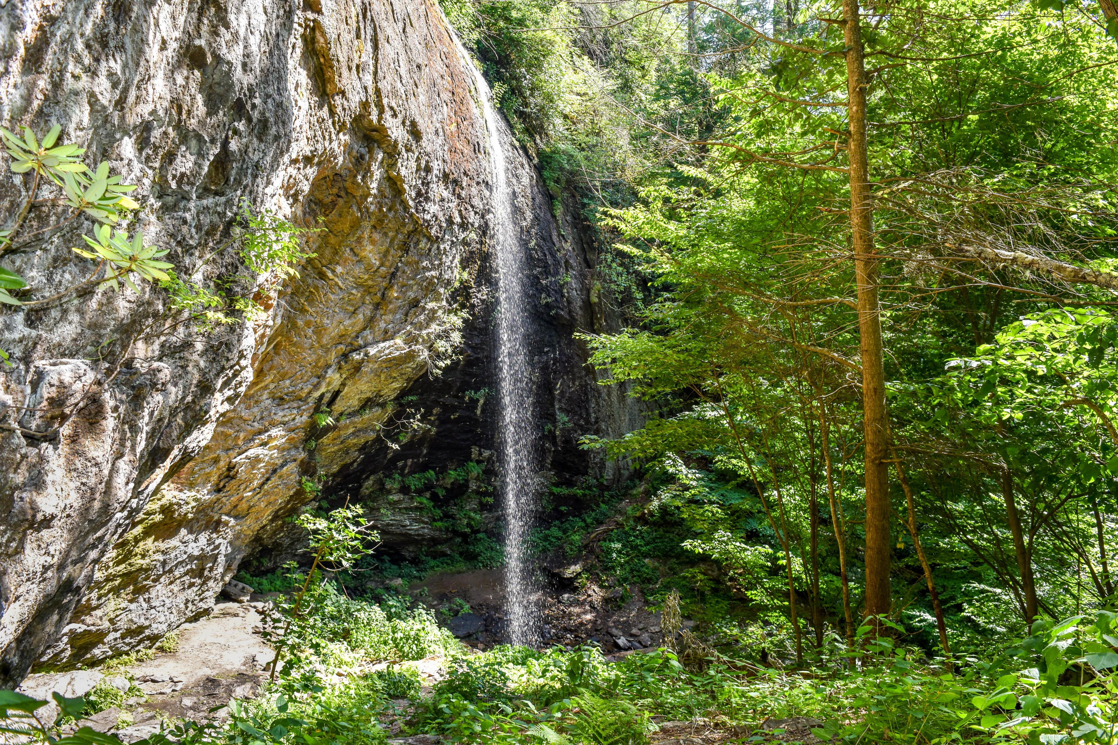 Douglas Falls Hike Asheville 