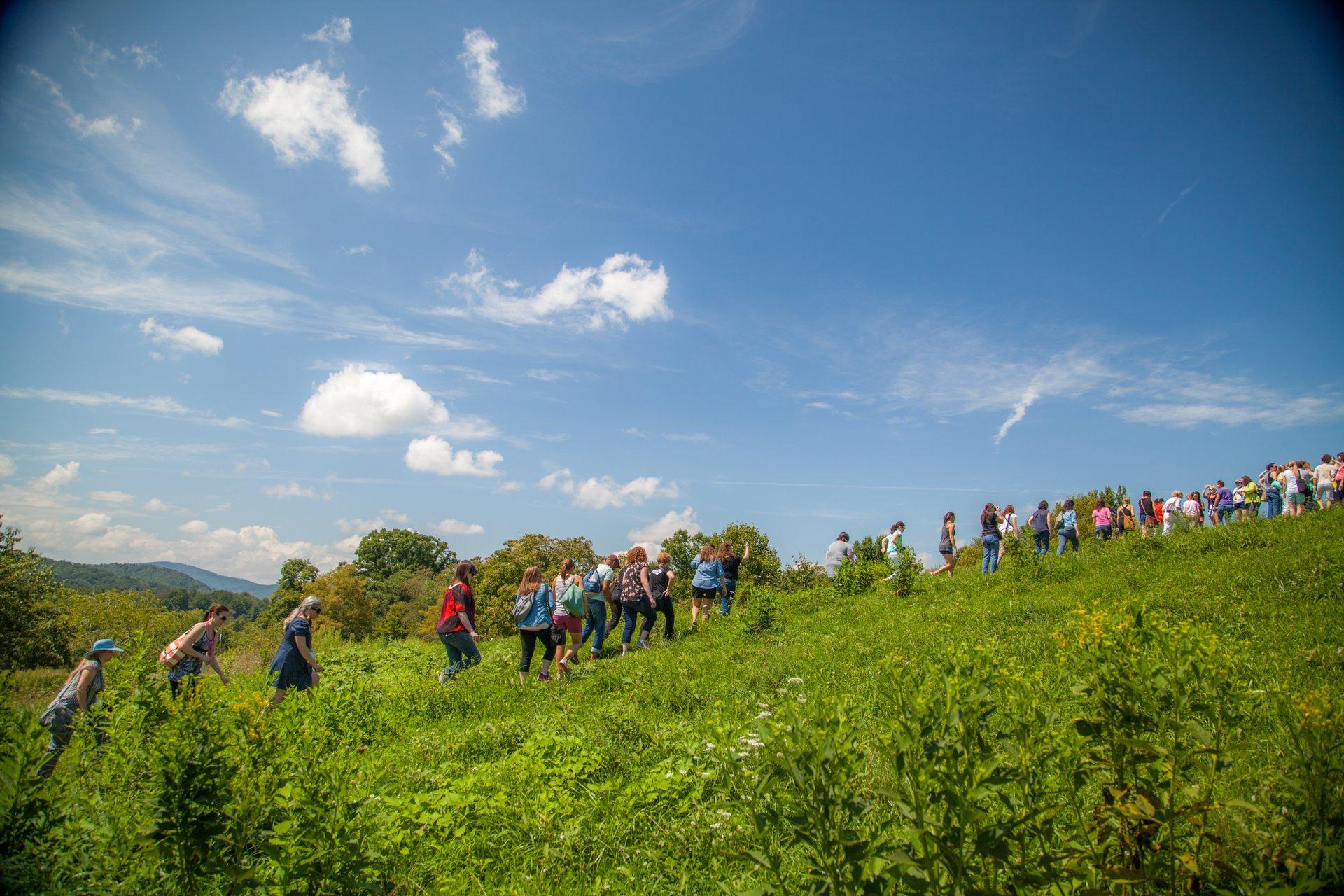 Hickory Nut Gap Farm in Fairview / Photo: Derek Misler