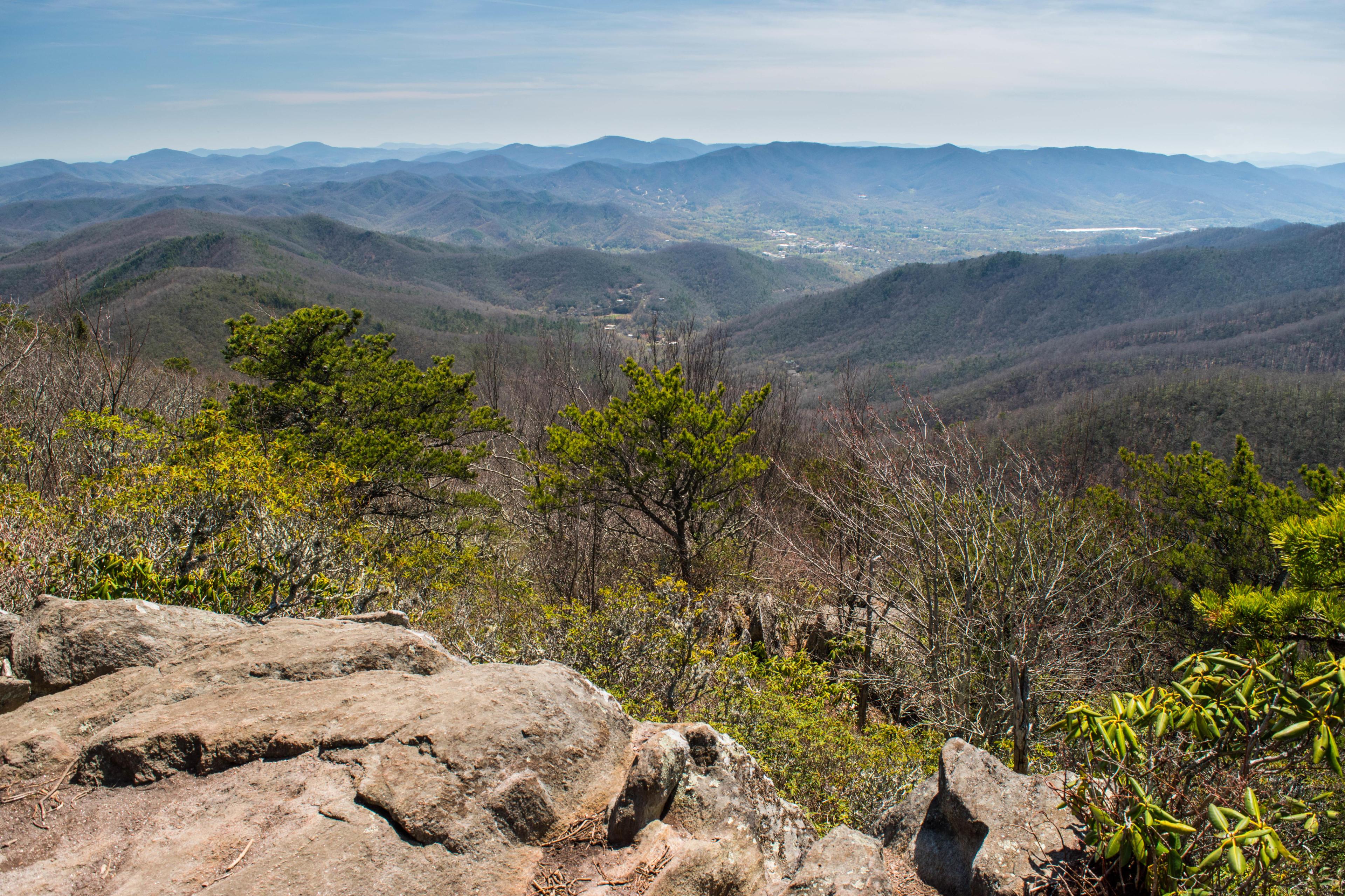 Graybeard Trail Ashevile