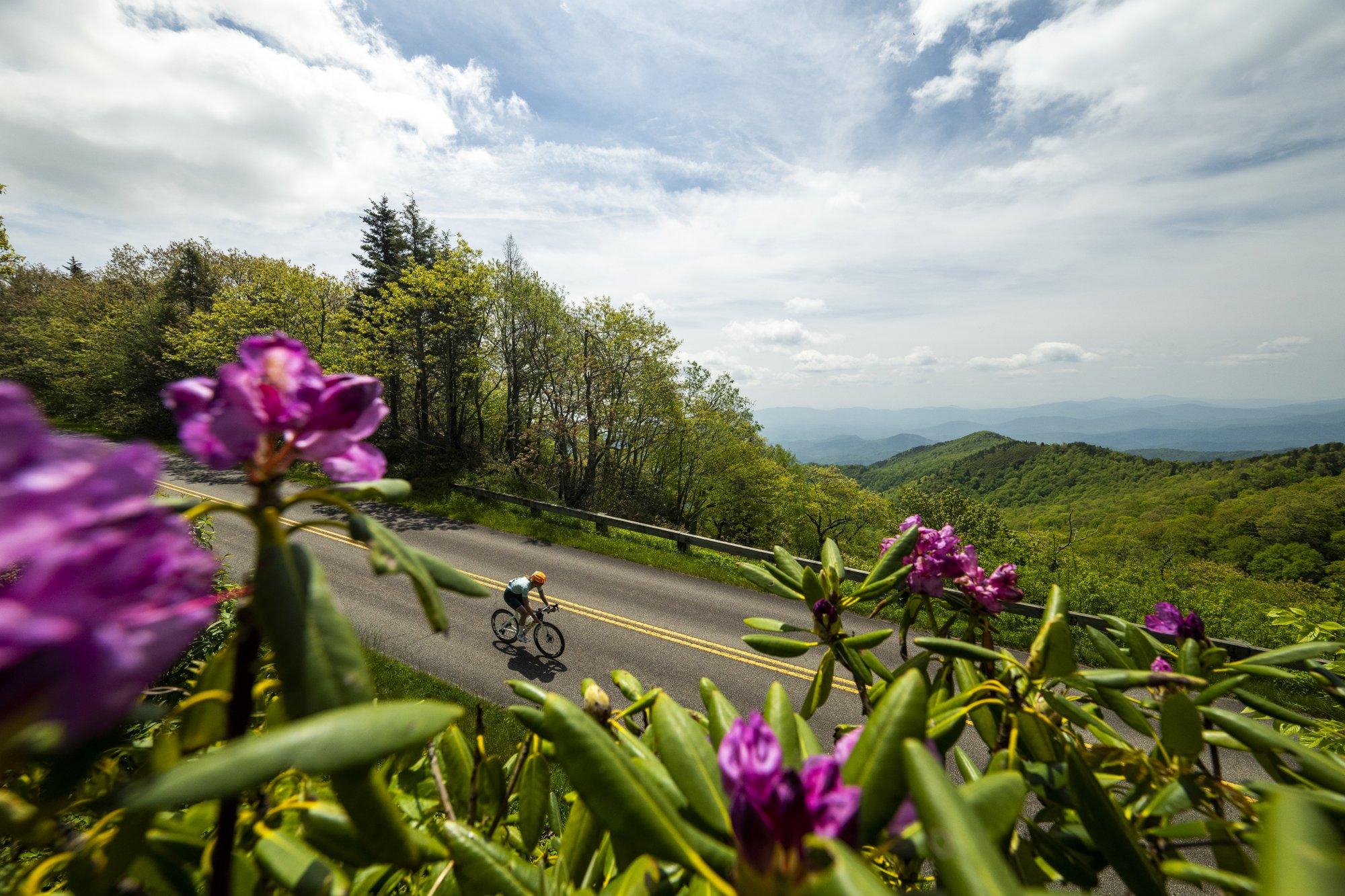 Road cycling on the Blue Ridge Parkway / Photo: Derek Diluzio