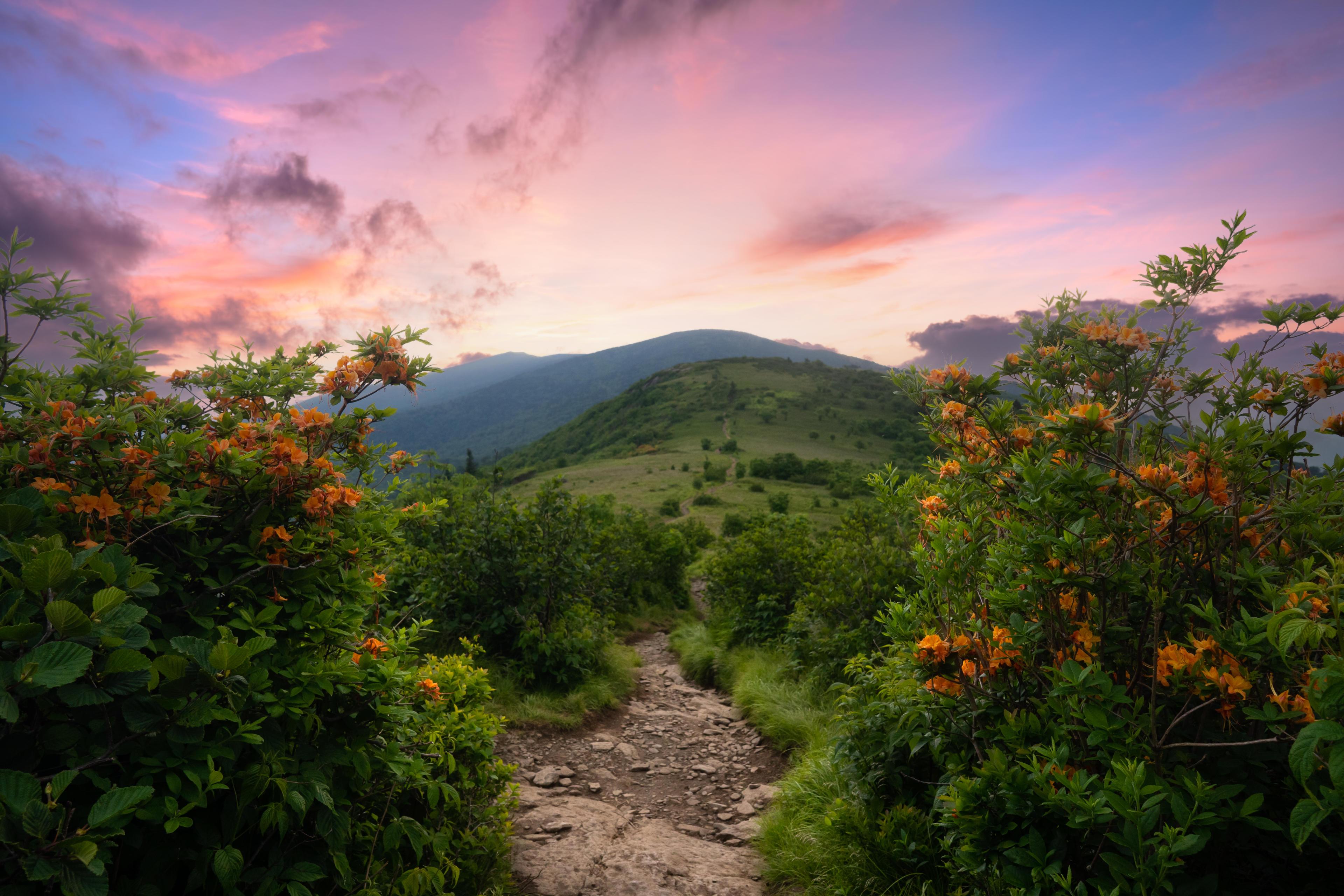 Roan Mountain Hike on the Appalachian Trail