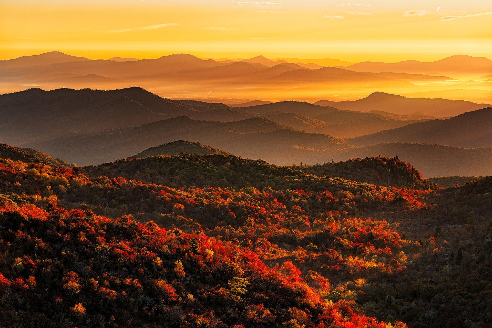 Fall at Black Balsam Knob / Photo: Luke Sutton