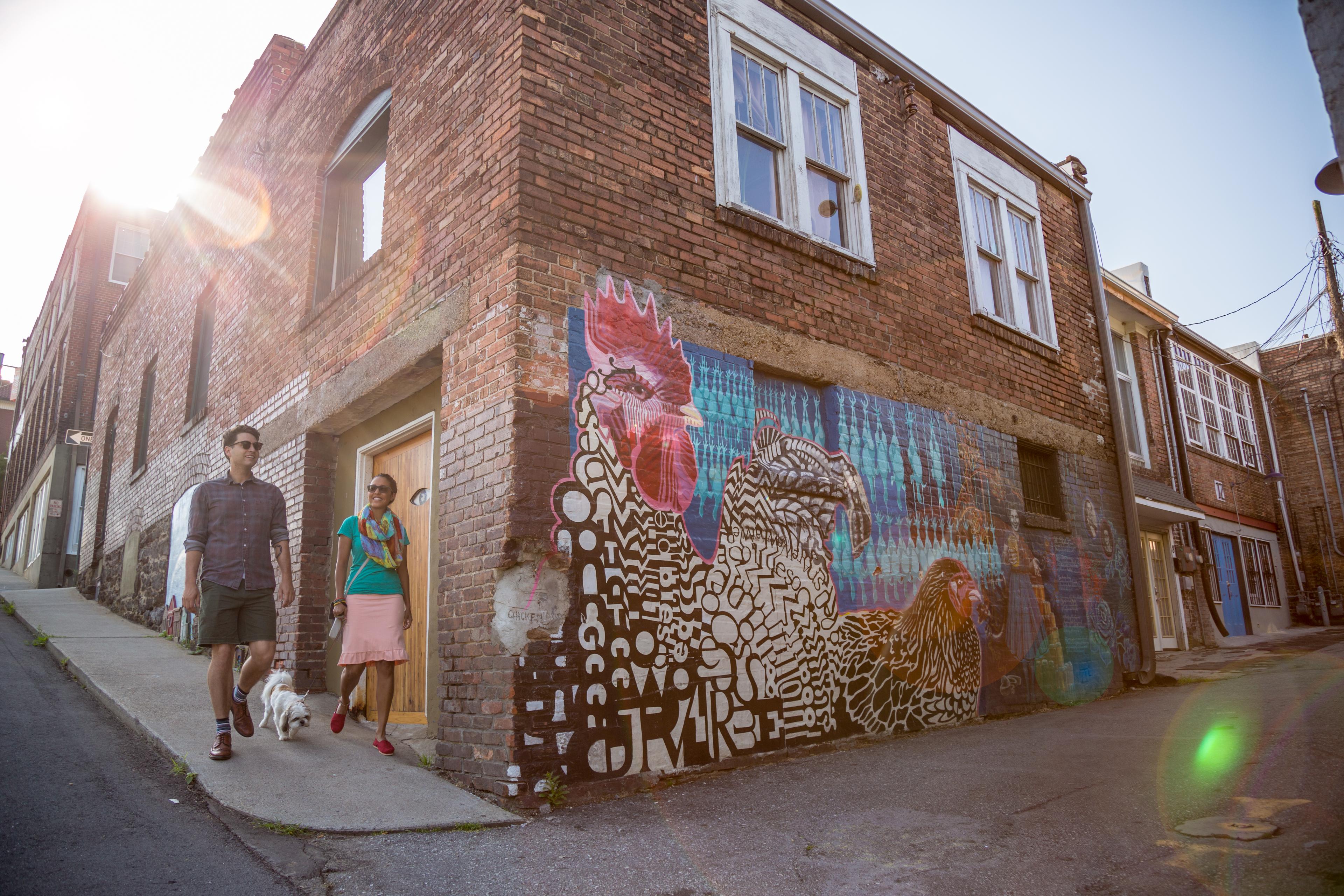 Chicken Alley, Downtown Asheville