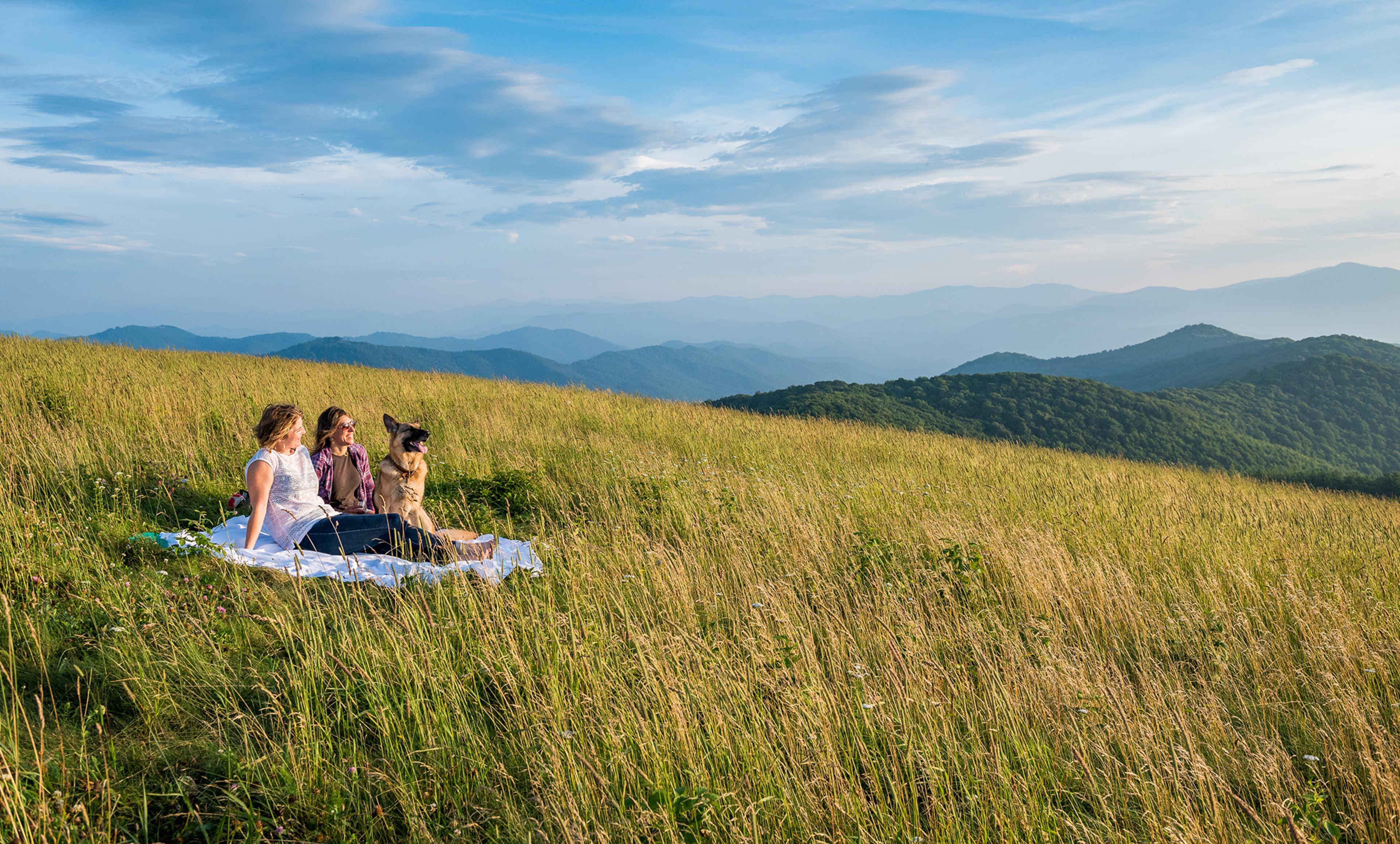 Mountain Balds Near Asheville, NC