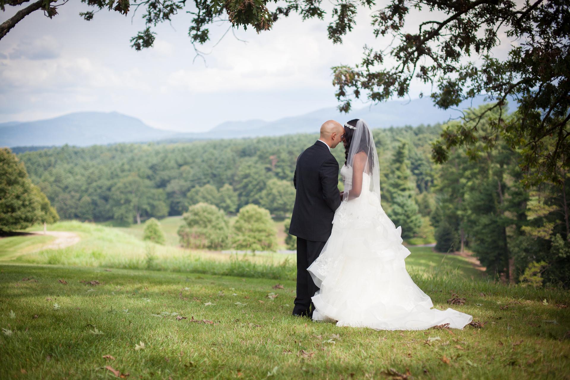 Wedding in Asheville