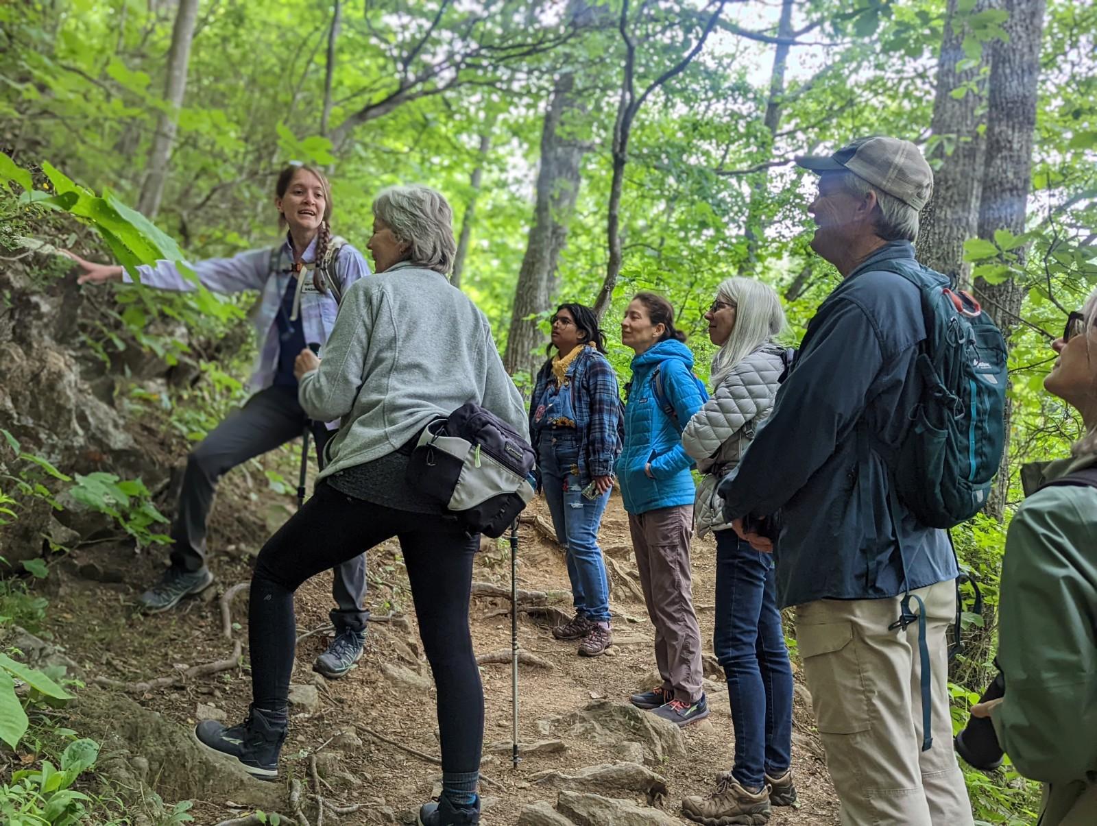 Asheville Hiking Tours