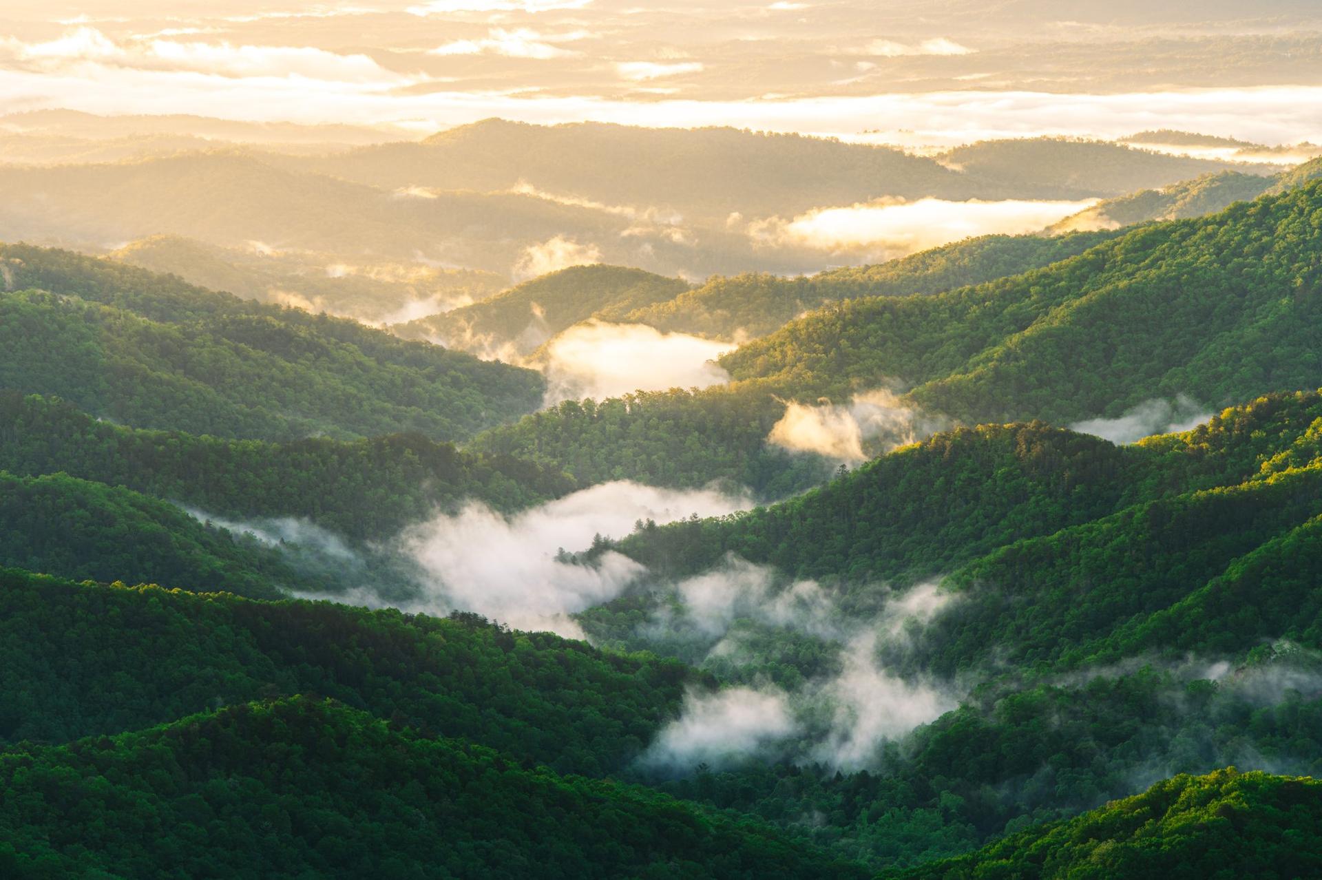 Green Knob Overlook in Summer / Photo: Connor Fernandes