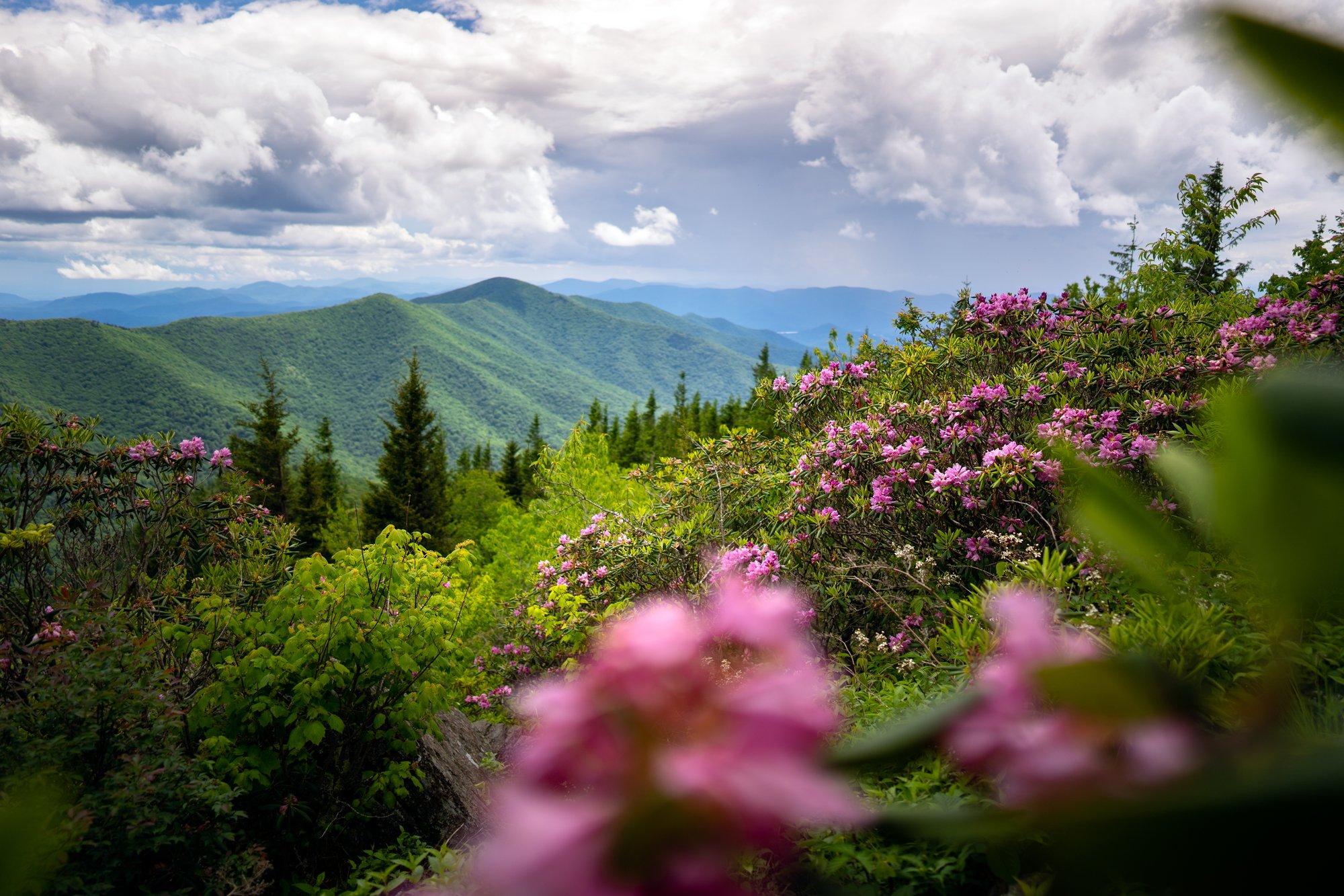 Mountains-to-Sea Trail near Mount Mitchell / Photo: J Smilanic