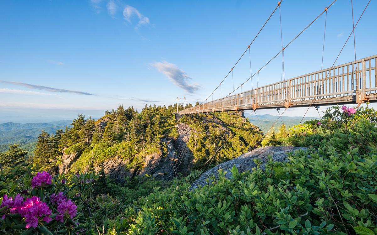 Grandfather Mountain