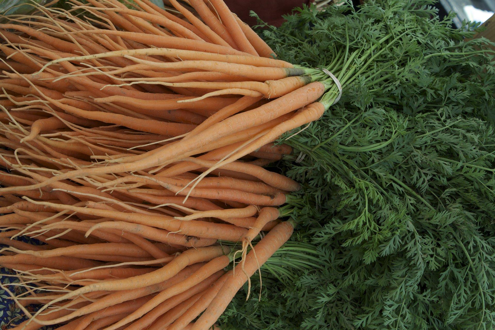 Carrots from the Montford Farmers Market / Photo: Art Meripol