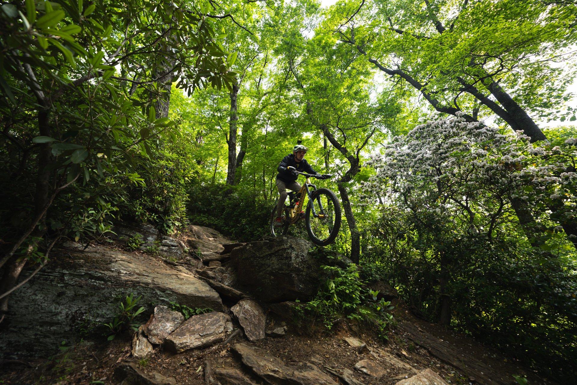 Mountain biking Pisgah National Forest / Photo: Chris Burkard